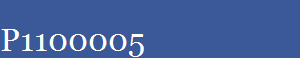 P1100005