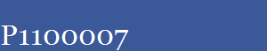 P1100007