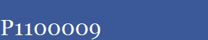 P1100009