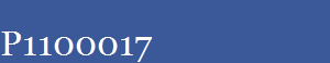 P1100017